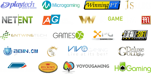 software-providers